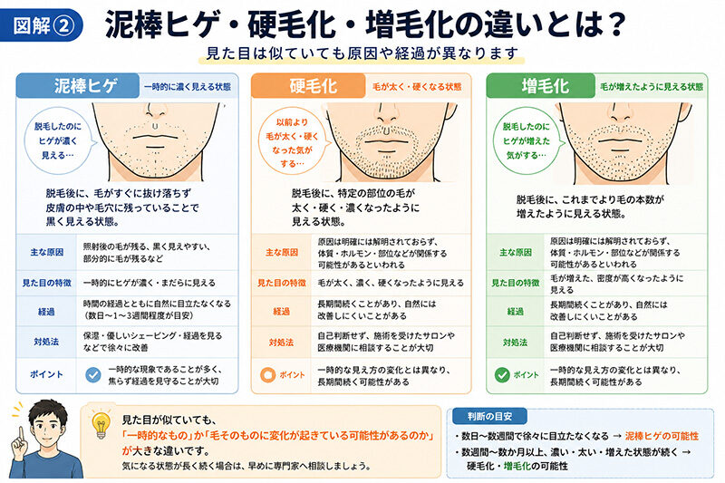 泥棒ヒゲ硬毛化増毛化の違い図解