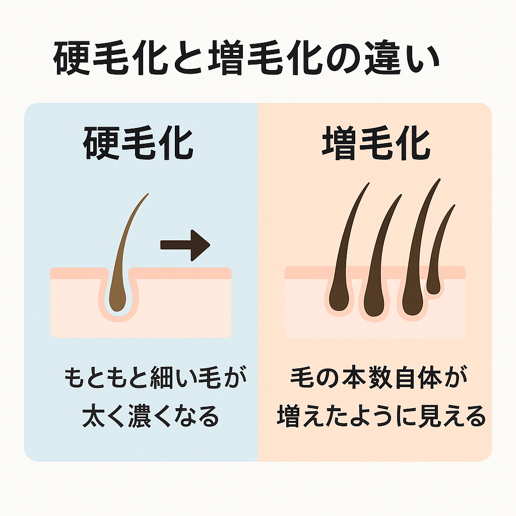 硬毛化と増毛化の違いの画像
