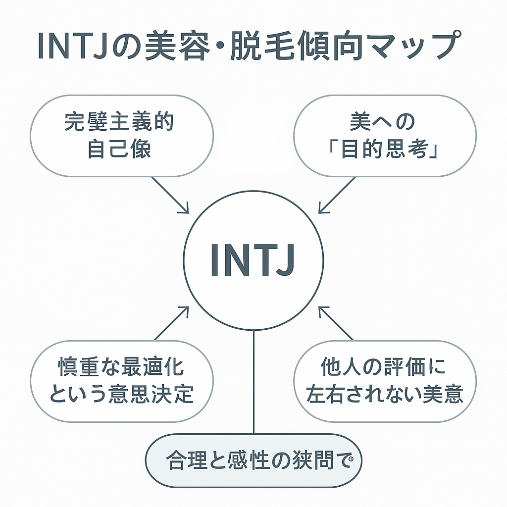INTJの美容傾向マップ